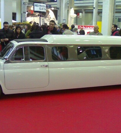 500, fiat and white