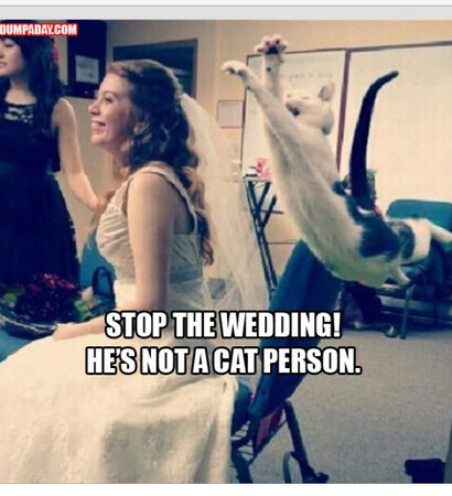 hilarious and en