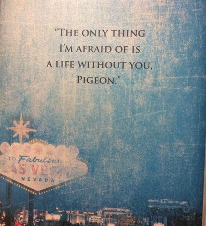 pigeon, maddox and beautiful