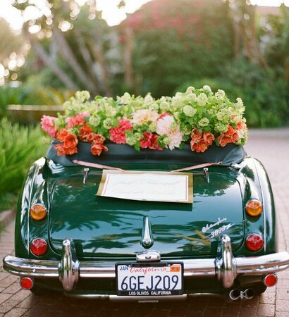 cute, flowers and roses