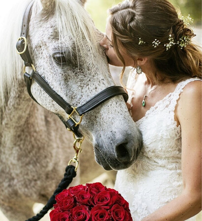boda, horse and bridal
