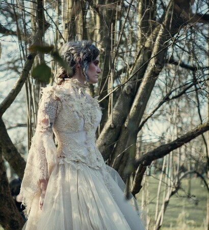 victorian, ripped and gown