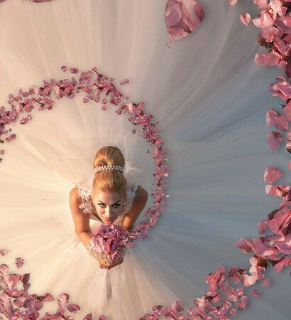 creative, amazing and petals