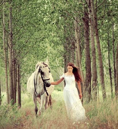 white, horse riding and landscape