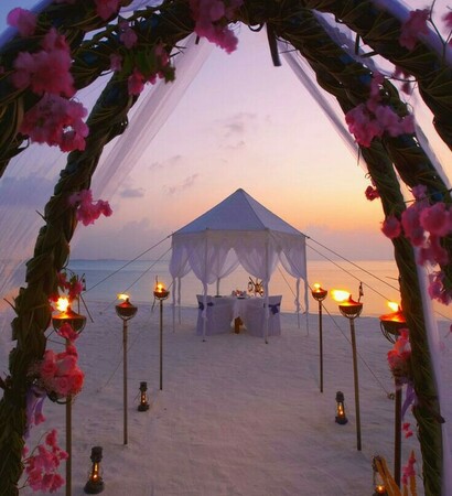 beach, pink and flowers