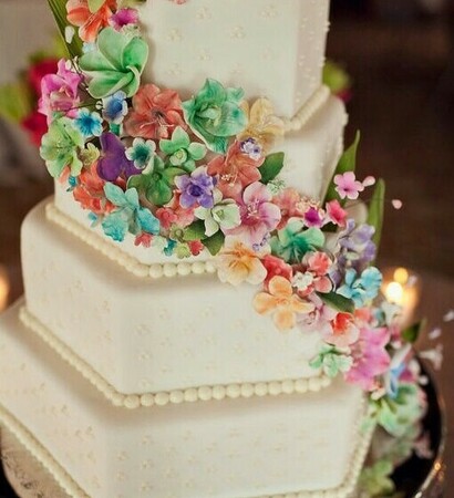 حفل, جميل and colorful roses