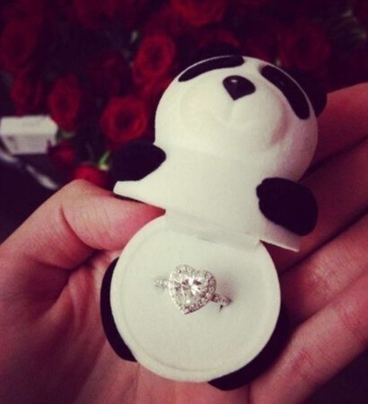 panda, engagement and couple