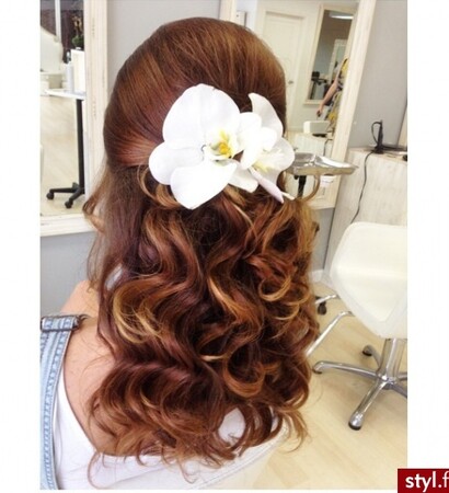 hairstyle, curly and special