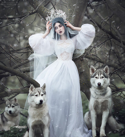 wild, fashion and woods