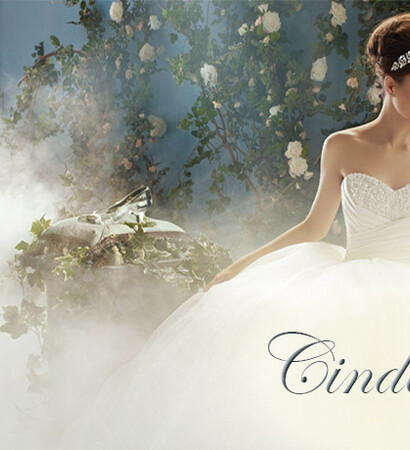 wedding dresses, disney fairytale weddings and blossoms