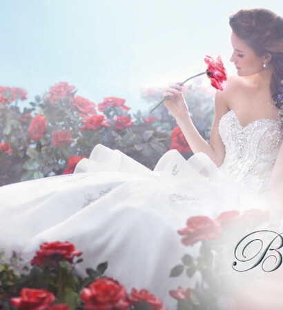 princess wedding dresses, disney princess bride and fantasy