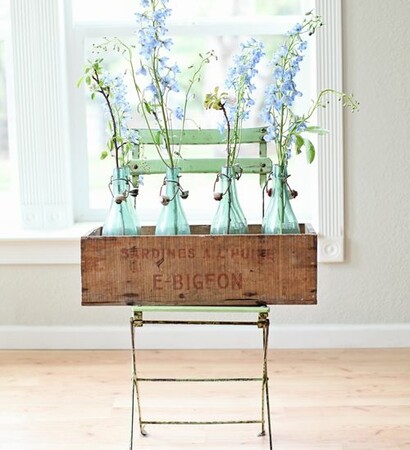 plants, blooms and blue