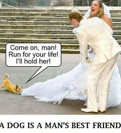 life, dog best man's friend and run away