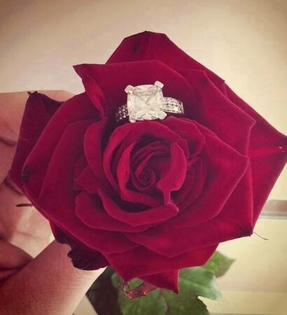 rosa, anillo and propuesta
