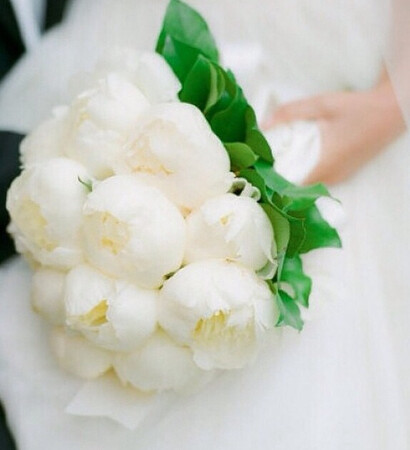 bouqet, flowers and white