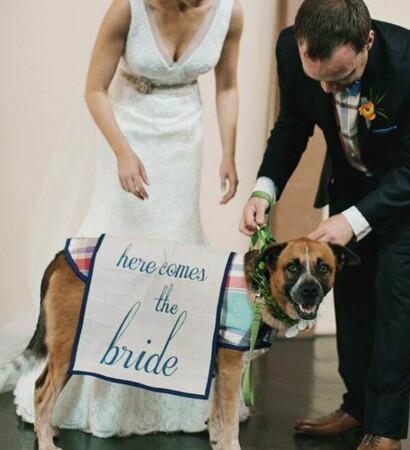 cute, dog and best friend