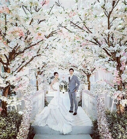 dress, wedding dress and robe de mariage