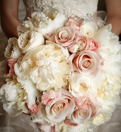 roses, boy and white