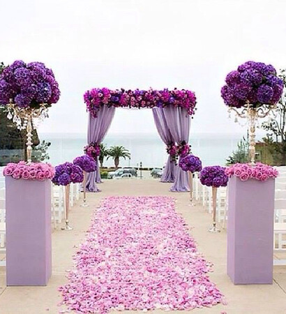 so cute, violet and purple
