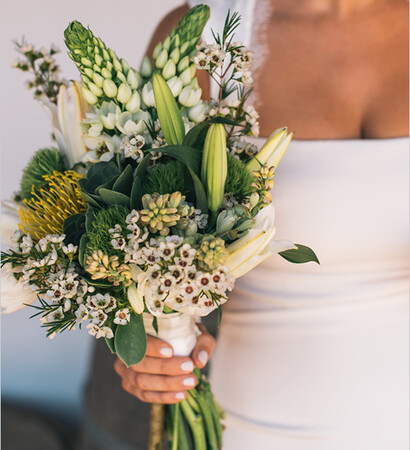 cactus, flowers and dress