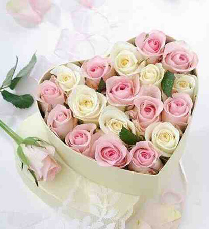 pink, box and white