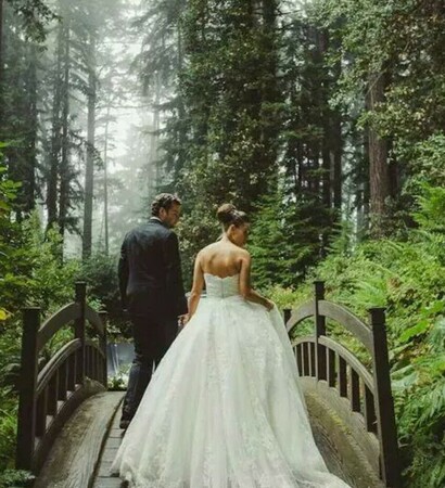 forest, happy and bridge