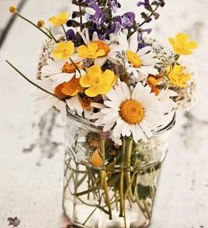 naturaleza, florero and delicate
