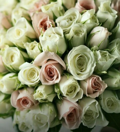 flowers, beauty and pink