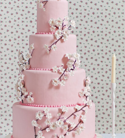birthday cake, wedding cake and delicious