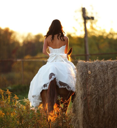 sunrise, horse and marry that girl