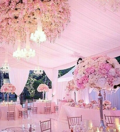 pink, rosa and flowers