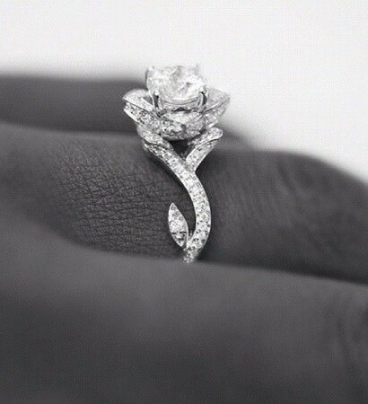 boda, ring and anillo