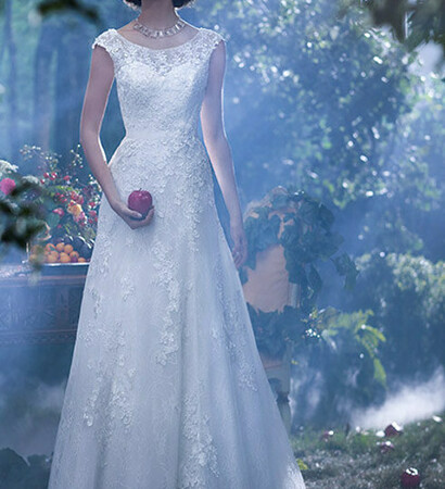 wedding dress, dress and gown