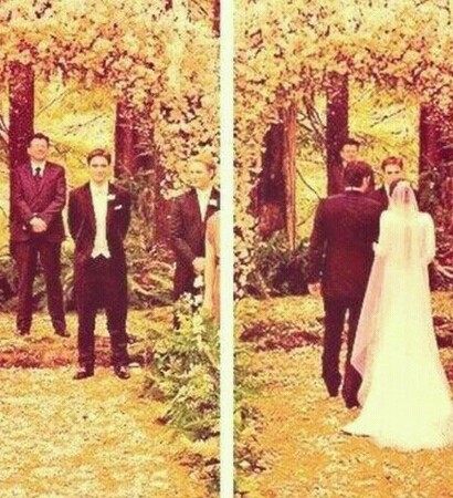 breaking dawn, edwella and twilight saga