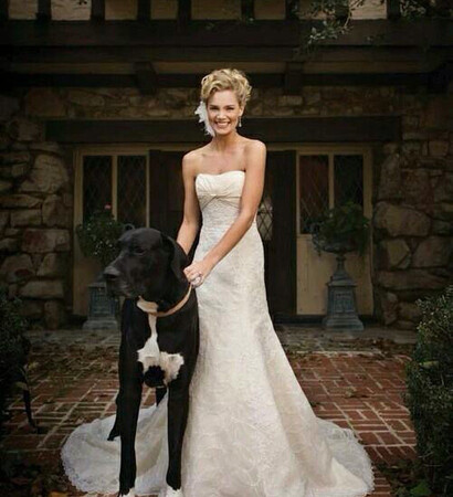 women, dress and love