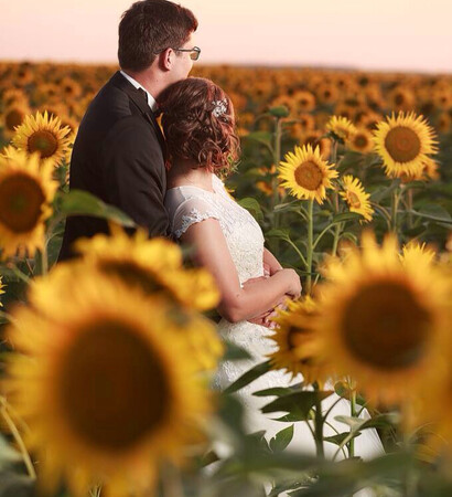 groom, sunflowers and summer