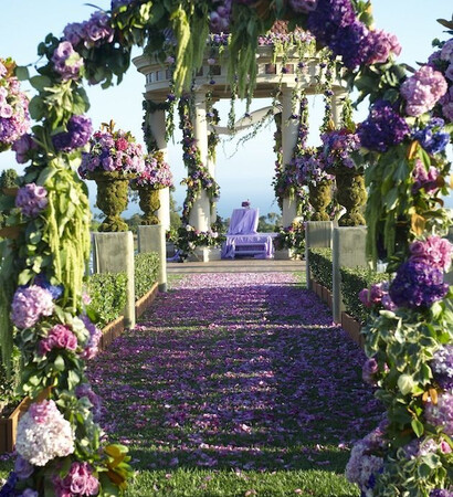 purple, beauty and flowers