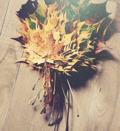 autum, Halloween and fashion