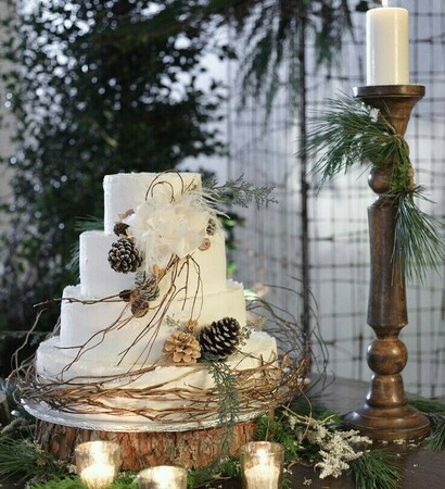 theme, wood and cake