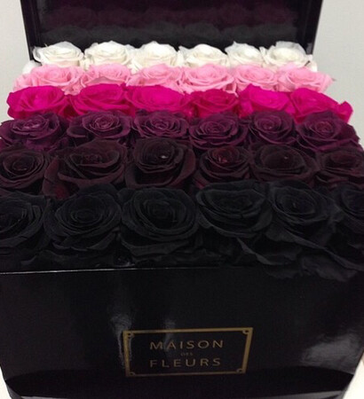 fucsia, flowers and purple