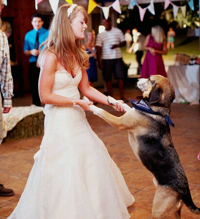 perro, baile de boda and best friends