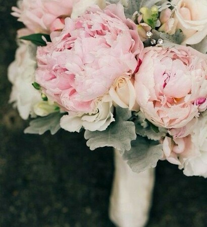flowers, pink and backgrounds