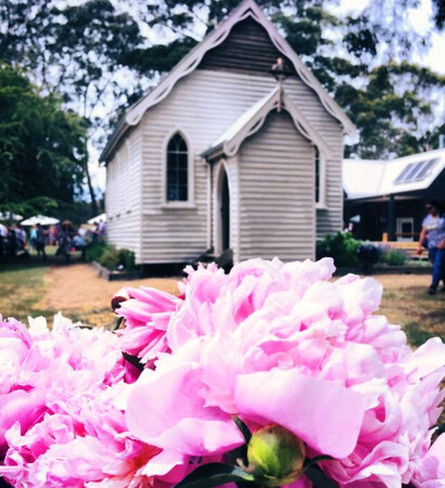 lovers, peonies and beautifu
