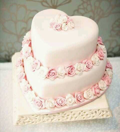 pink and white, flowers and rose
