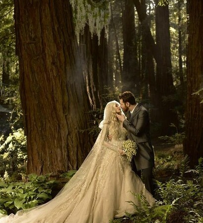 photography, forrest and beautiful