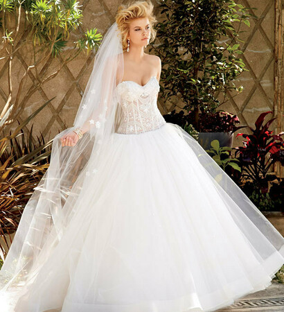 wedding dress and eve of milady
