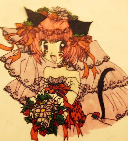 super girl, mew mew and manga