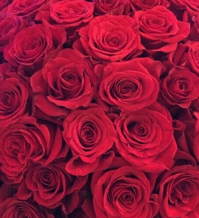 red roses, couple and cute