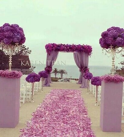 violets, roses and sea