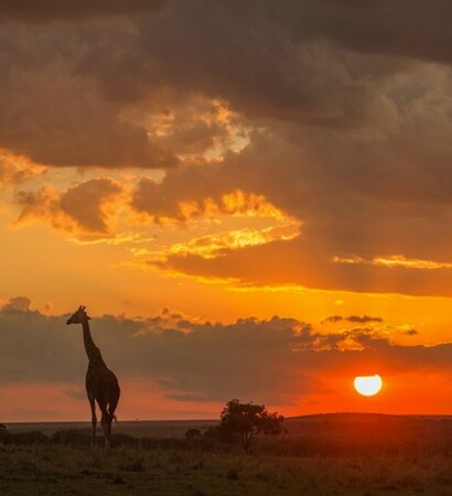 Kenya, tribe and maasai
